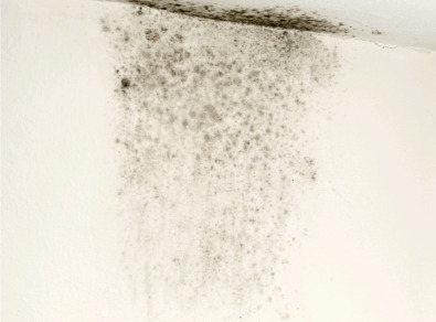 곡성 주택 아파트 공장 결로검사 결로공사 시공업체