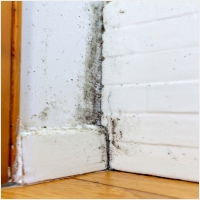 곡성 주택 아파트 공장 결로검사 결로공사 시공업체-6106529